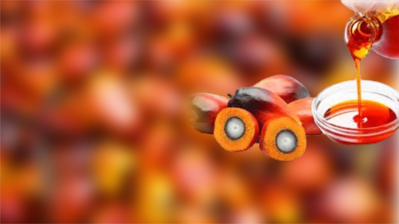 Plantain and Cassava Harvest